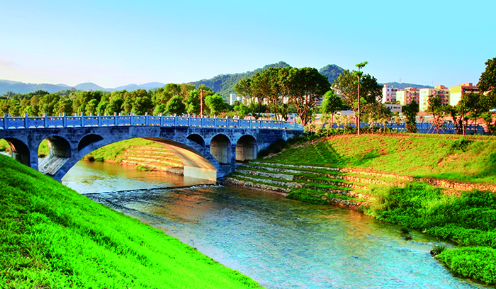 ���ڸ�����ۺ����ι���