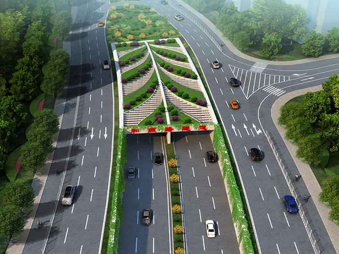 5�Ͼ�����;����ͨ��