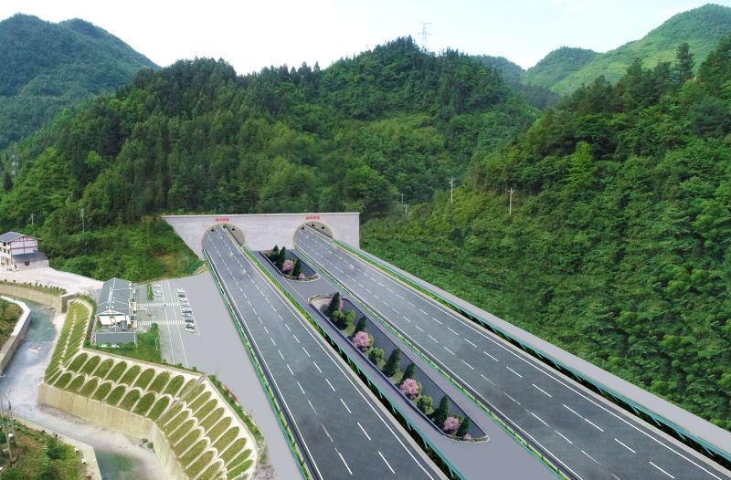 ͩ������